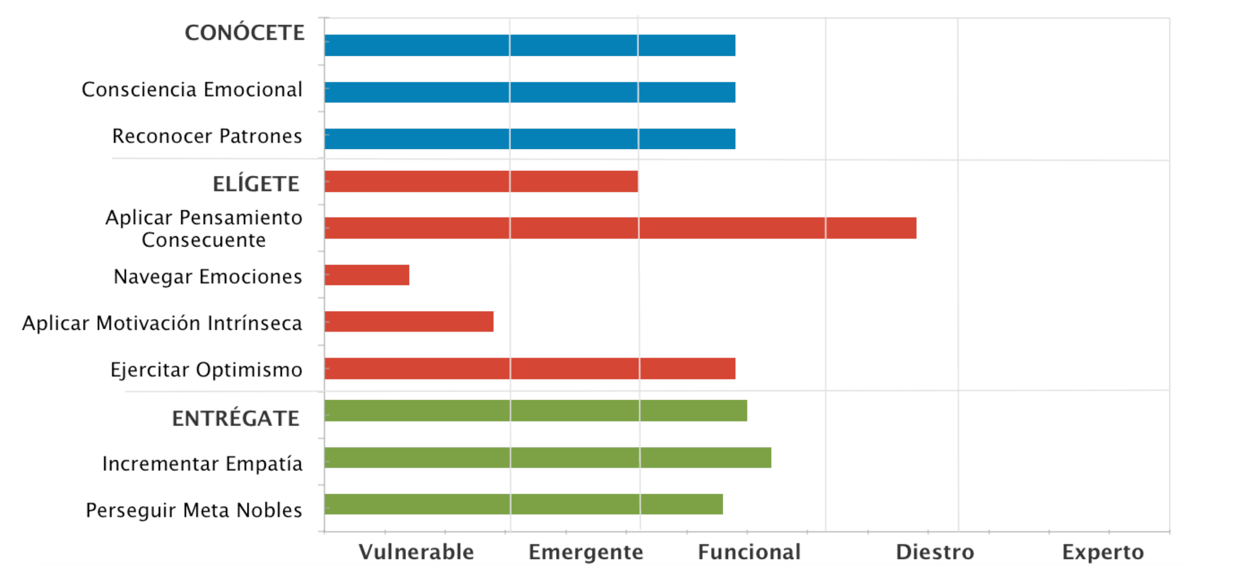 Evaluación SEI + Informe Personalizado de Liderazgo Español + Reporte Neural Net